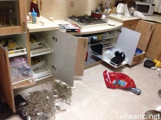 تفتيش العيساوي