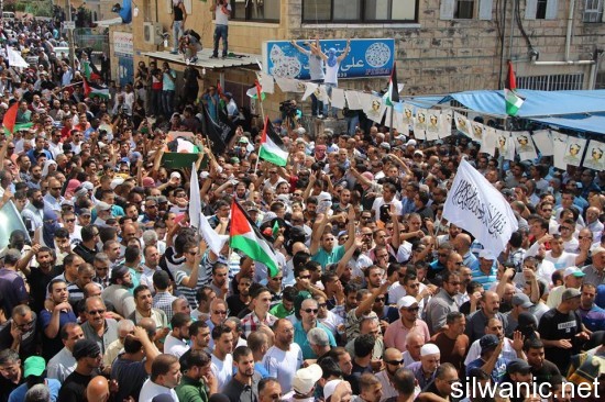 10524105_252292578312957_1162153902_n