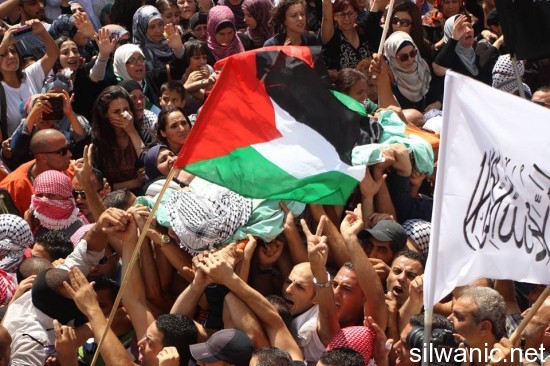 10529477_252292508312964_681892497_n