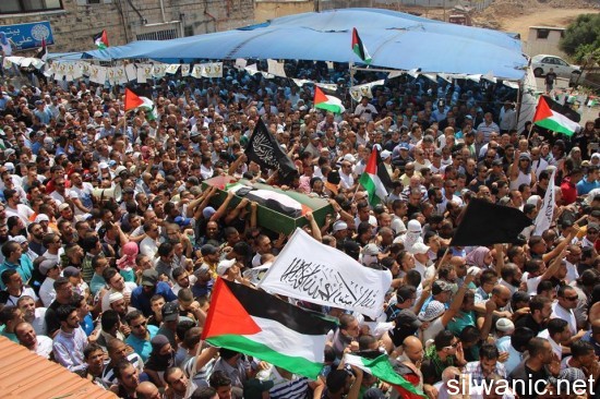 10529535_252292571646291_44257956_n