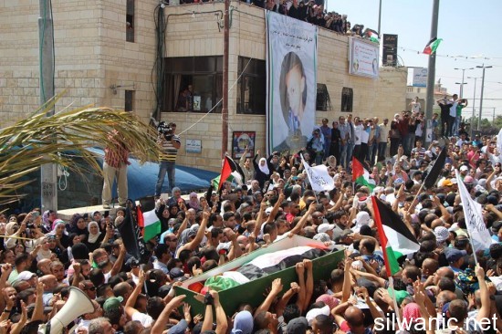 10531318_252292584979623_1715187566_n