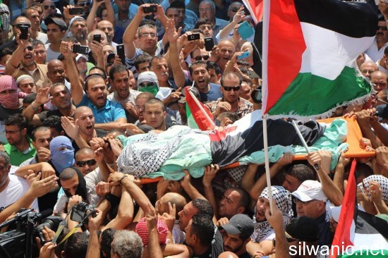 10533469_252292528312962_2261849_n