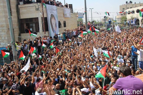 10534310_252292561646292_344241317_n