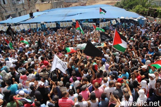 10536677_252292568312958_140550852_n