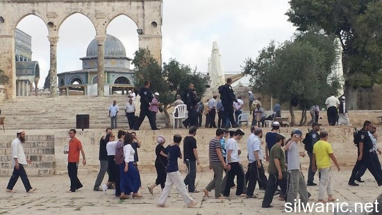 10514677_619318691515566_5023129969877197374_n