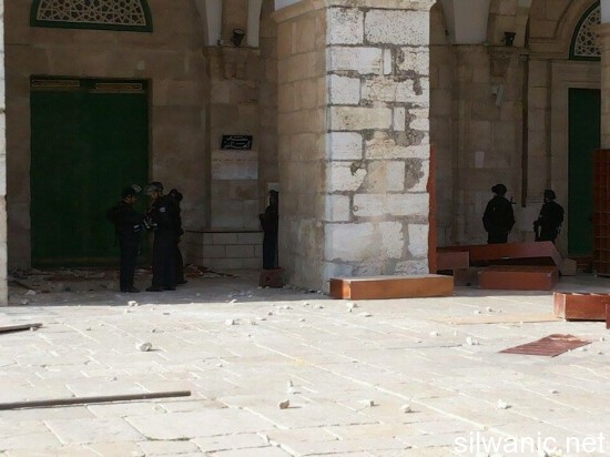 10533369_619300124850756_50957955526827305_n (1)