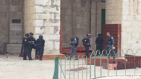 10538662_619318944848874_6803957604291167779_n