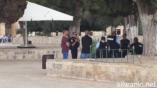 1525539_619319091515526_6455386302852360737_n