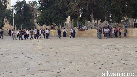 1546342_619318724848896_483789068739884956_n