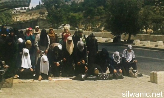 10363743_334683043322954_5369291074556178425_n