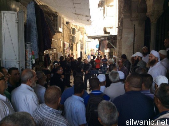 10624947_334632019994723_3814585350851722662_n