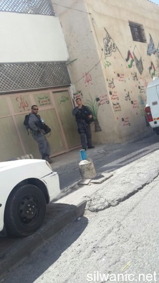 10660738_679841355443333_2107533674_n