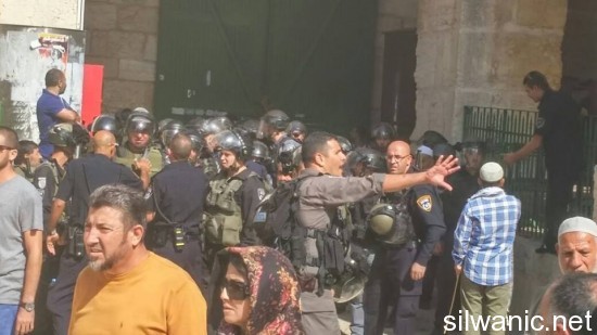 10440897_827511430624163_3527651618229509975_n