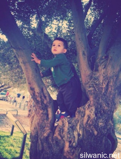 10632841_748312771889422_56609275085363526_n