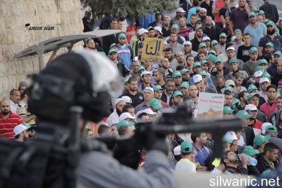 10659153_290827957792752_6758619669344140281_n