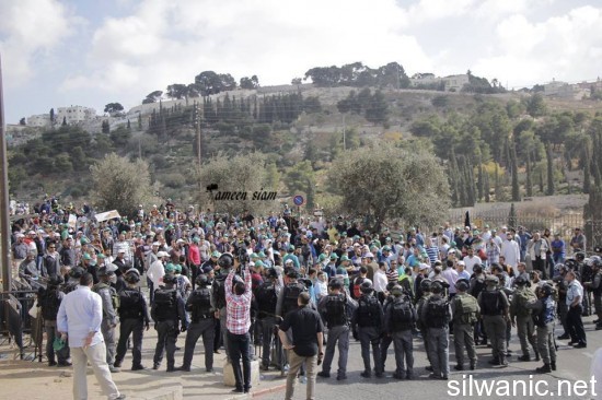 10659201_290784604463754_8077972347107044147_n