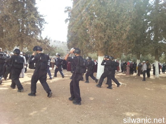 10678482_827510997290873_7263008455769236952_n