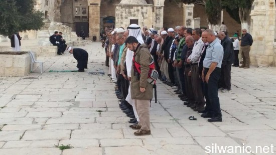 10710791_343896169068308_2643103906650720562_n