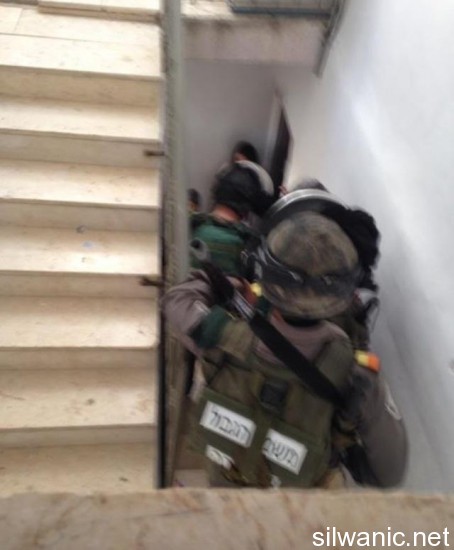 10710897_748312818556084_7305888671878900963_n