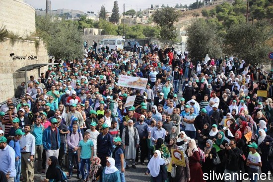 10730209_290783624463852_3299951759377602717_n