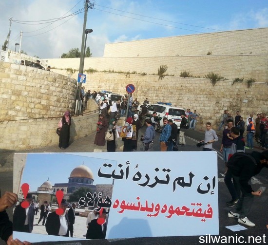 10731127_343891579068767_3487863579515444497_n