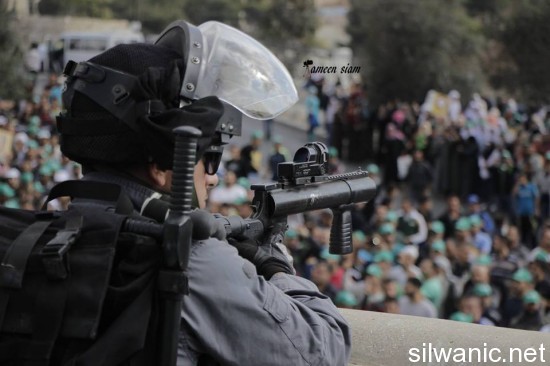 1800242_290811057794442_2733381544155964391_n