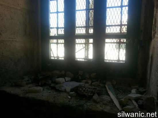 unnamed (1)