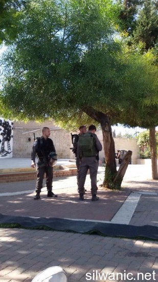 10153854_724829614267810_6782880360918587483_n