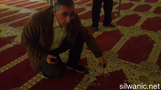 10304707_669608376486597_2209373663079144977_n