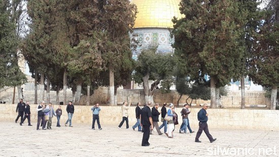 10519531_669601819820586_6257693462171551052_n (1)