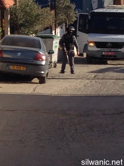 10579133_10152412354162466_1087041540_n