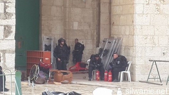 10641048_669603846487050_6424721086076657940_n