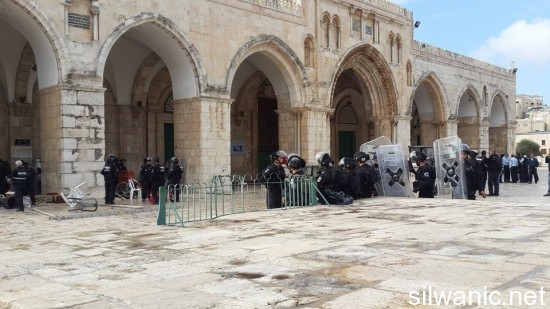 10698662_669600929820675_9207370546106143175_n