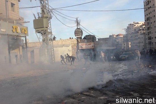 10743236_742426665832314_476517389_n (1)