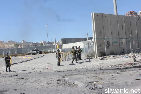 10744807_742423772499270_600989218_n