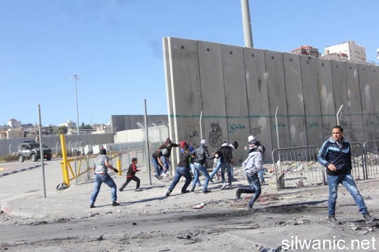 10749098_742424232499224_832335163_n