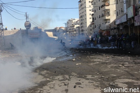 10754950_742423245832656_1893374300_n