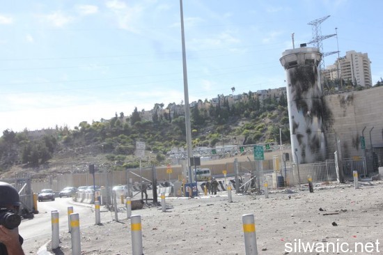 10755045_742423959165918_114978593_n