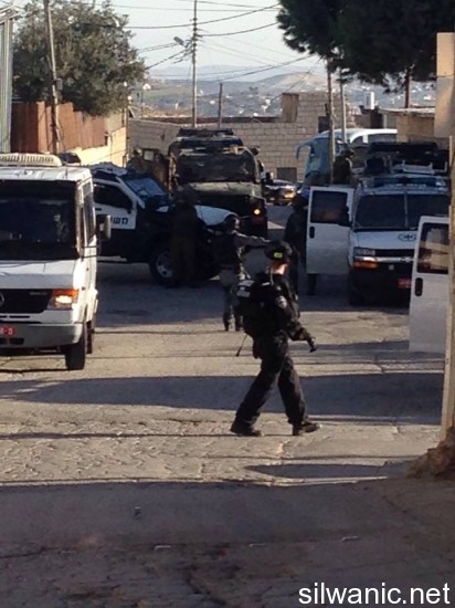 10799552_10152412353947466_1001012003_n