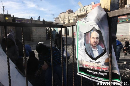 10804985_742421935832787_764829533_n