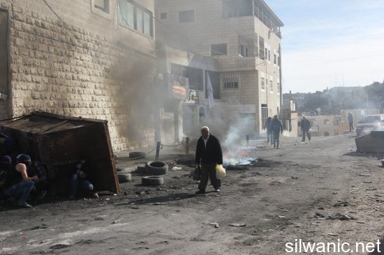 10805002_742422632499384_399524271_n