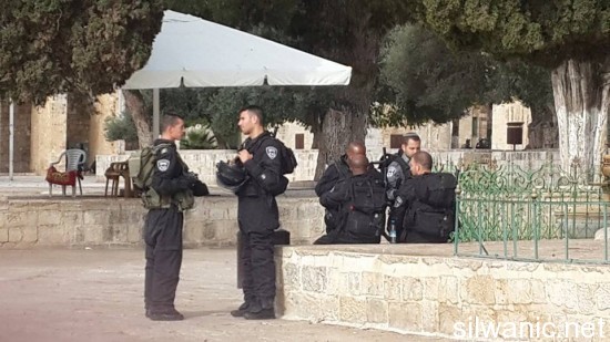 10805745_669603566487078_635274733436502705_n