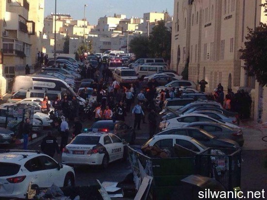 10807096_10152878920154511_447098683_n