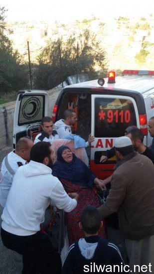 10811568_10152412356357466_1464922923_n