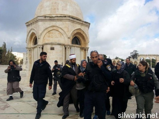 1380429_758300850884138_8442431767598886472_n