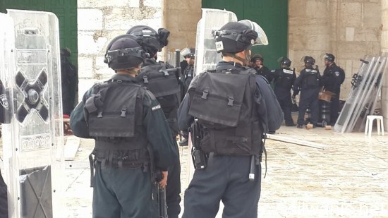 1450296_669600859820682_4365793450143422392_n