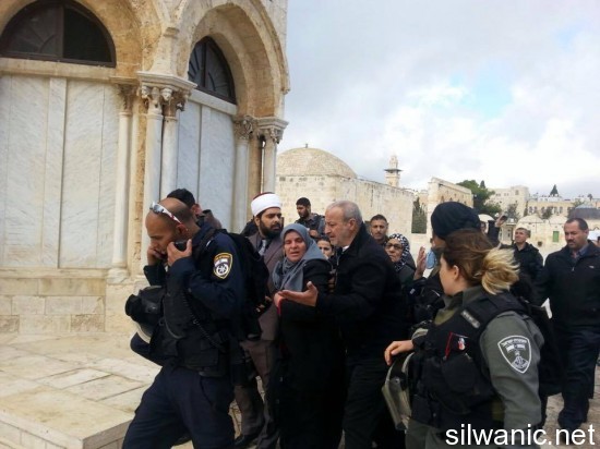 1459187_758300714217485_1917442697630676594_n