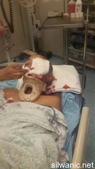 1467312_832506890130554_3779730868519391970_n