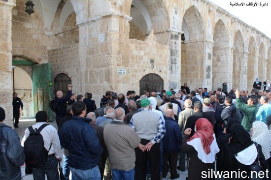 10259700_684654561648645_3872903419620414842_n