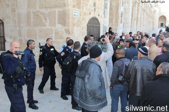 10349083_684654564981978_2381152915507326755_n (1)